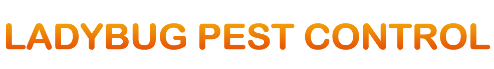 Ladybug Pest Control